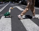 Mascotas virales y narrativas de marca: cómo el fenómeno Merlin revela el poder del contenido orgánico