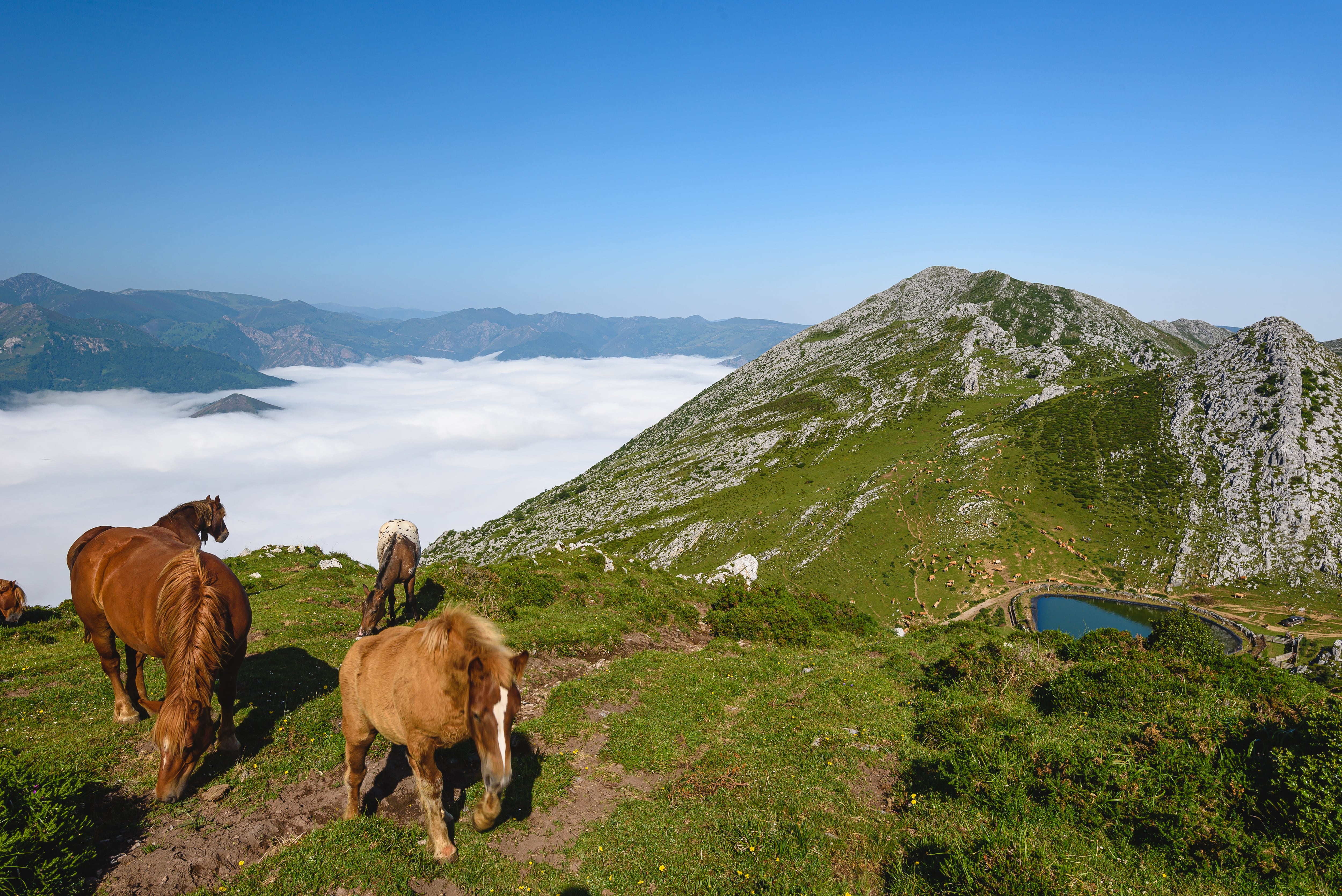 Asturias consolida su posición como destino turístico de referencia en el norte español