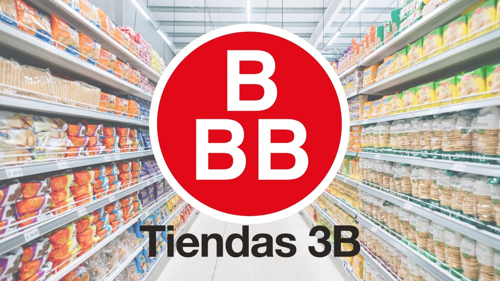 Infraestructura logística como ventaja competitiva en el modelo hard discount mexicano
