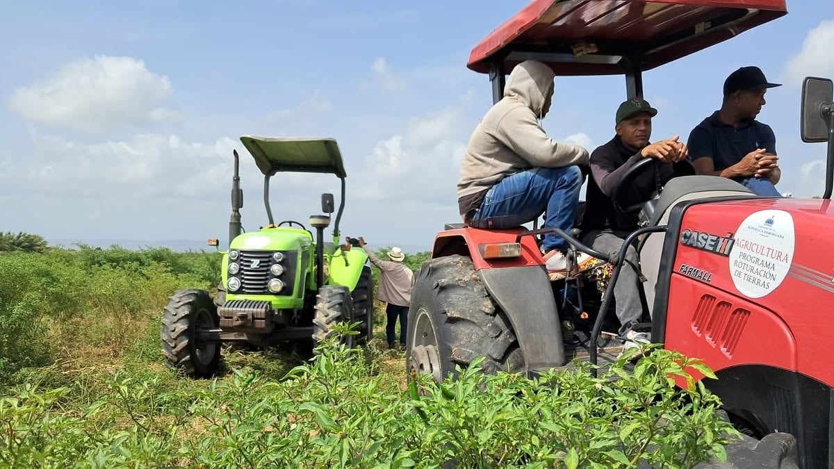 Expansión agrícola en República Dominicana: señales de una transformación estructural del campo