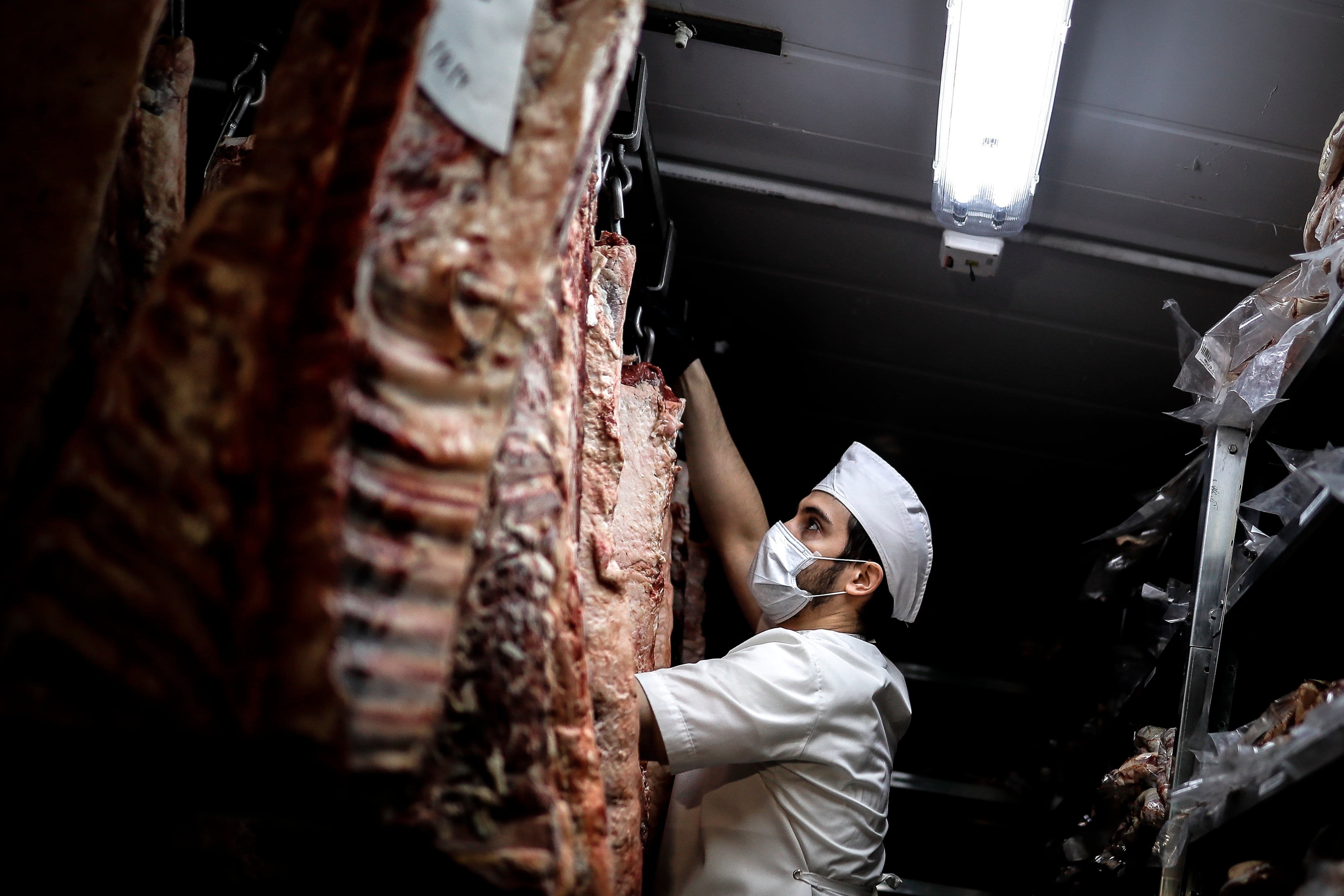Acuerdos comerciales abren mercados europeos a proteína sudamericana